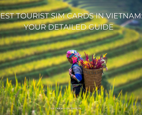 Best tourist sim cards in vietnam your detailed guide